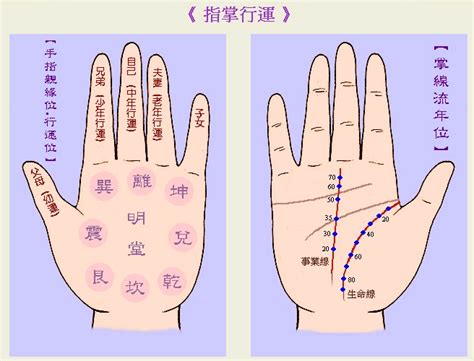 手指纹路|手相图解：手掌的“五大纹路”